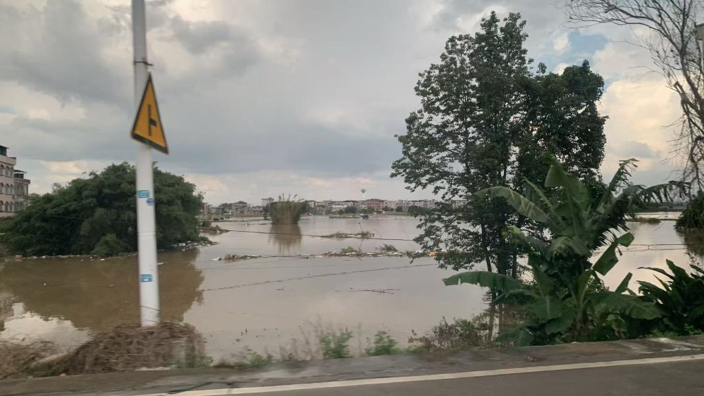 Floodwaters submerge the jasmine fields