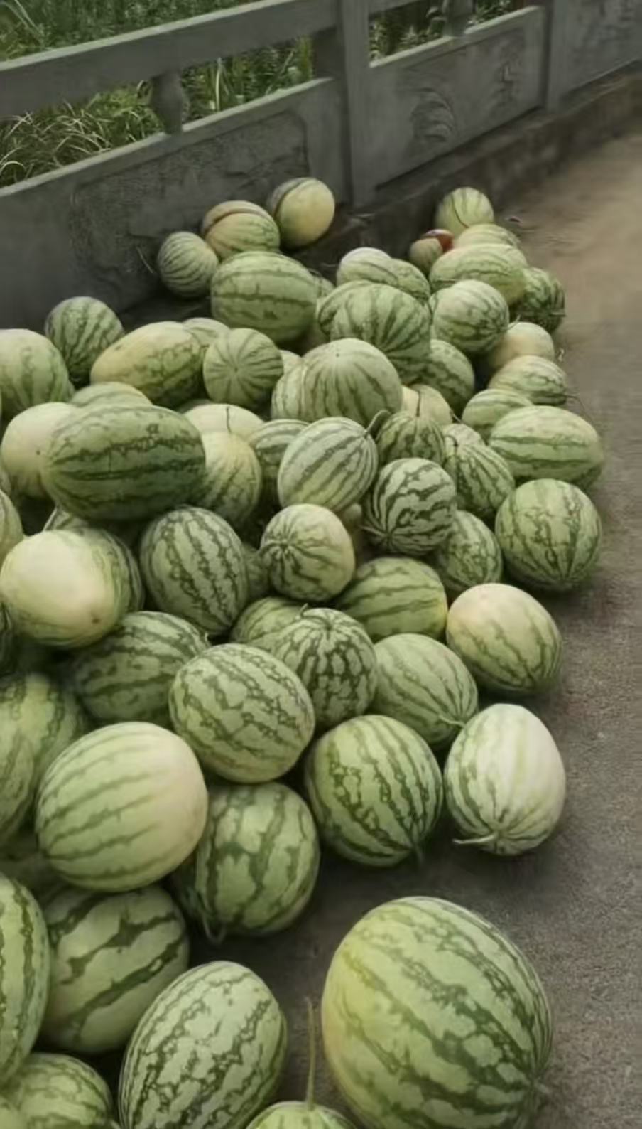The two households' unsold watermelons