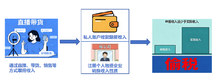 Investigation process of the Xu Jingwan tax evasion case